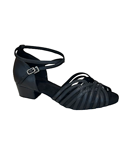 Dance shoes for ballroom dancing, line dancing and even west coast swing.