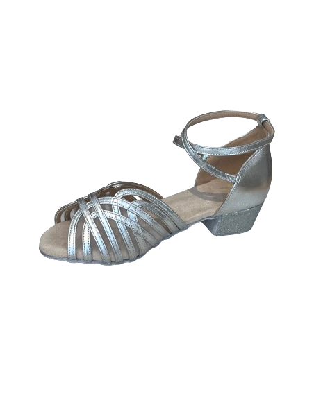 Scarpe da ballo in pelle argento per la danza standard o la line dance