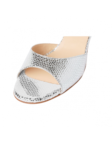 Chaussures de tango Madame Pivot Cherie argento pour femmes – Zurich, Suisse | Veryfine